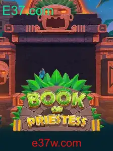 Descubra o Fascinante Mundo de 'BookOfPriestess' - Um Jogo Inovador